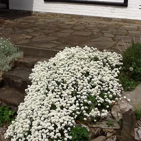 Les Moutons Holiday home Spa