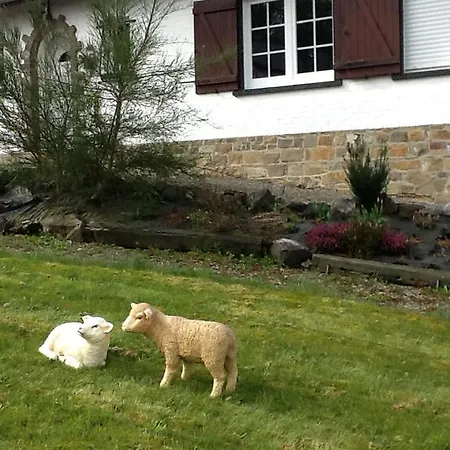 Les Moutons Spa